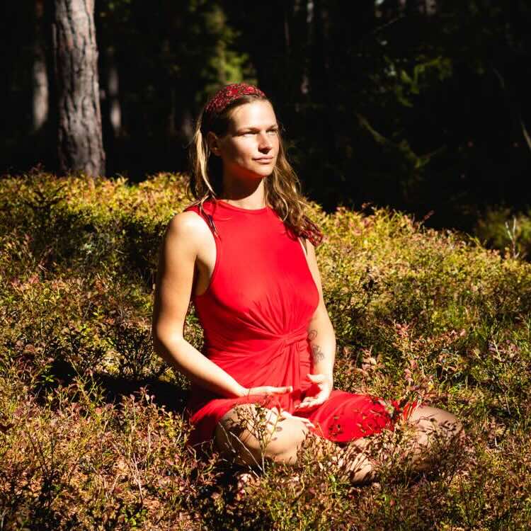 Ivy Moonwise - Author of Yatra